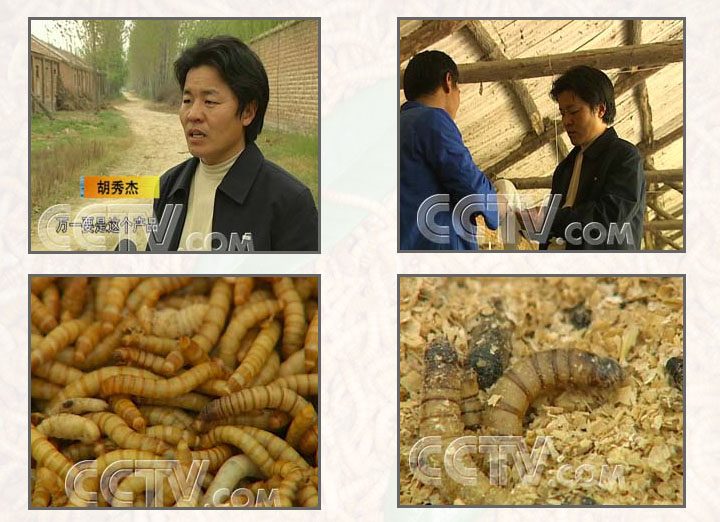Our CEO Mr Hu was interviewed by CCTV  in 2007.